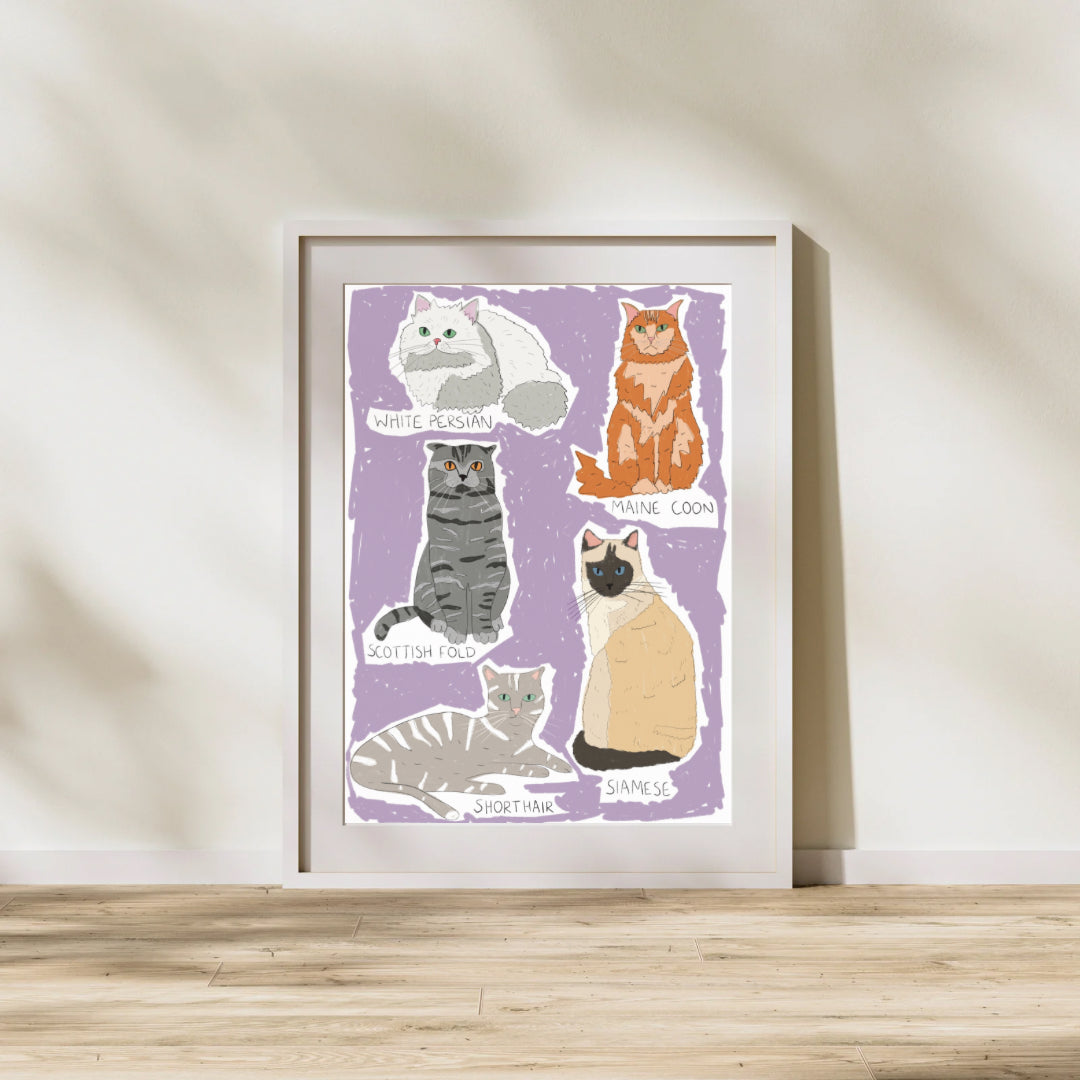 Types of cats | A4 art print