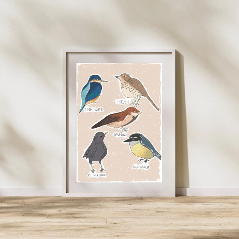 Types of Birds | A4 art print