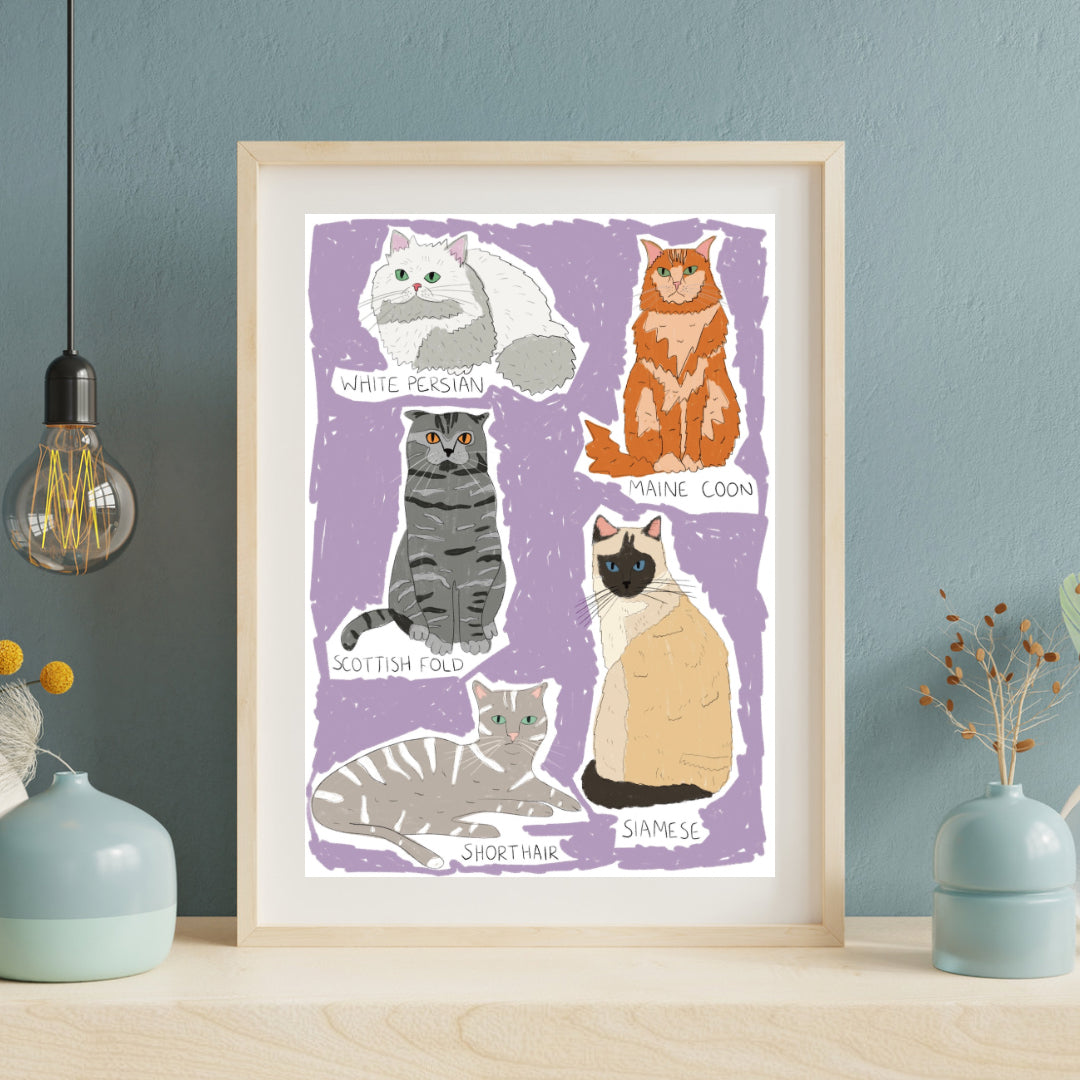 Types of cats | A4 art print