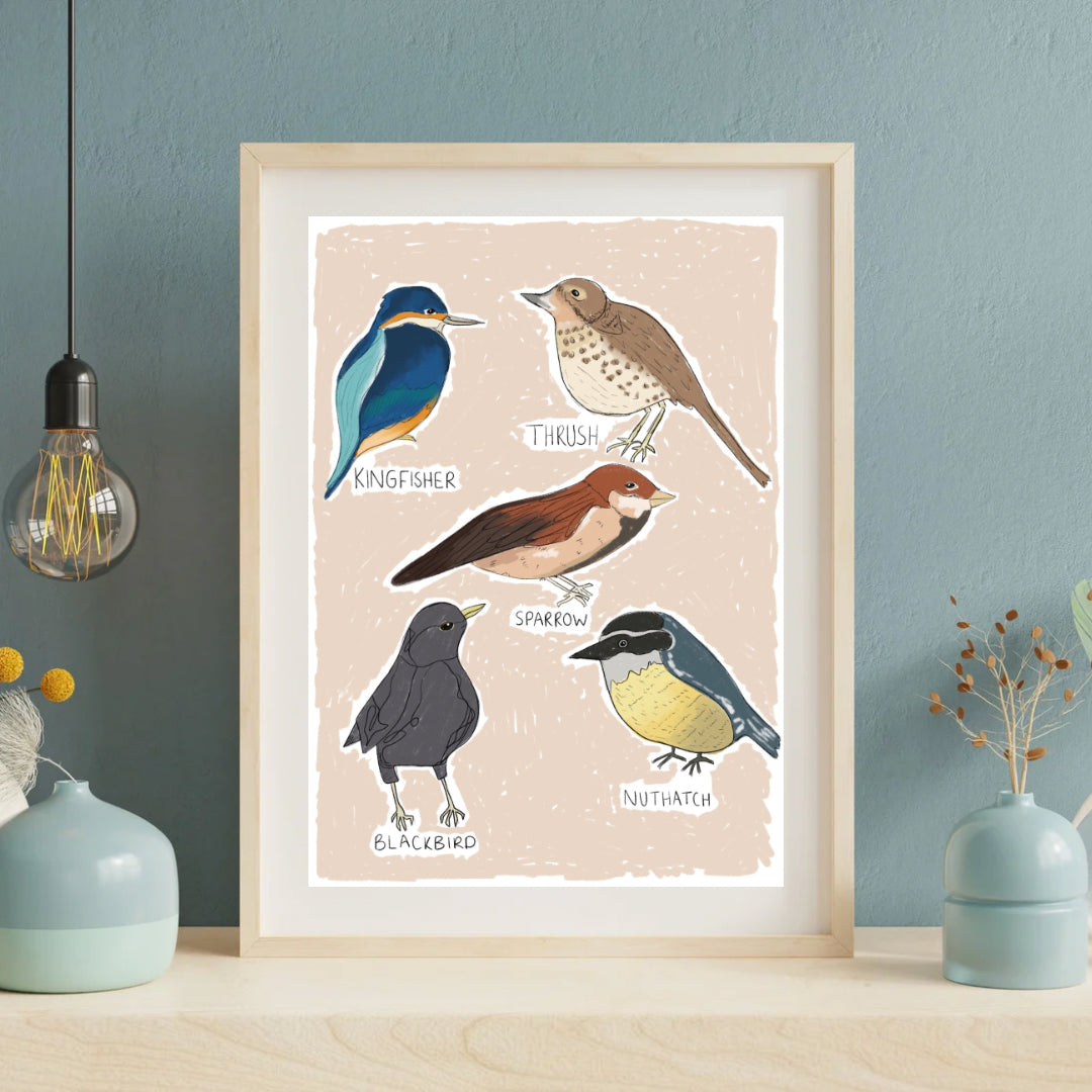 Types of Birds | A4 art print